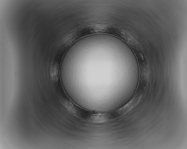 X0000116460082200912161240