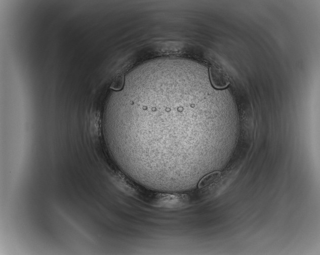 X0000116460083200912161240