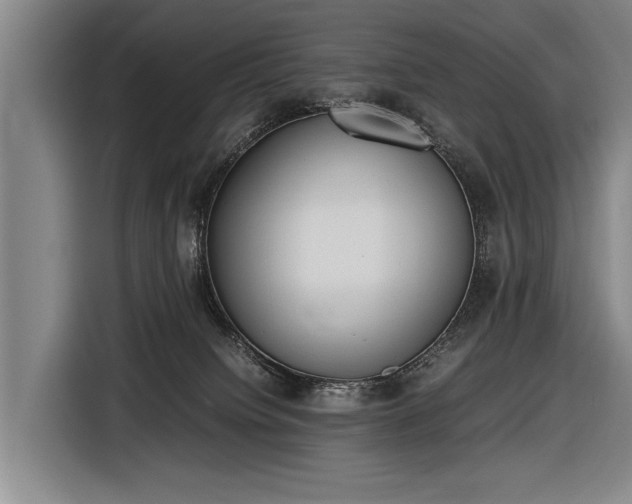 X0000116460084200912161241
