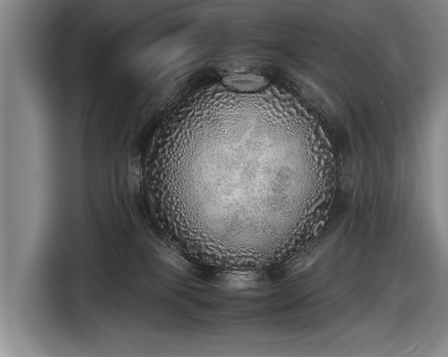 X0000116460085200912161241