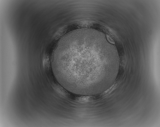 X0000116460086200912161241