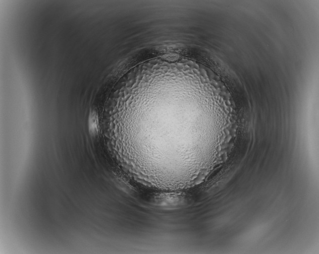 X0000116460089200912161241