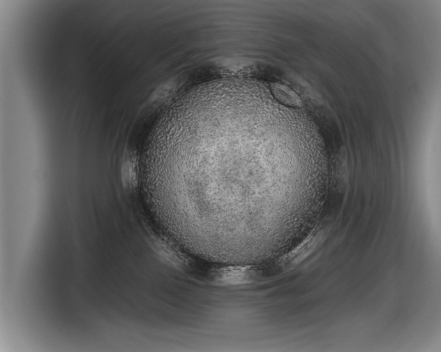 X0000116460090200912161241
