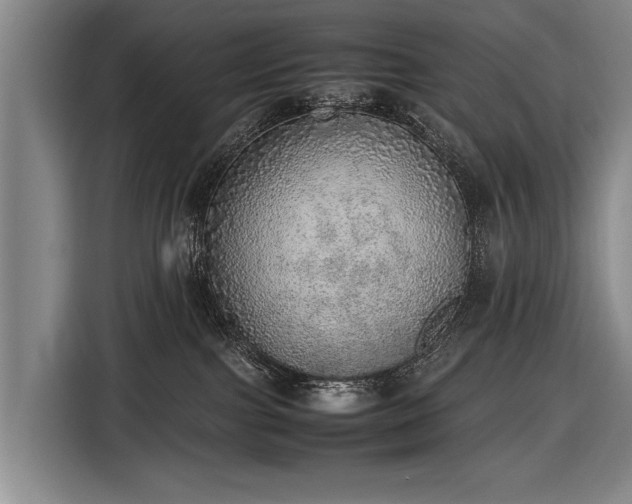 X0000116460091200912161241