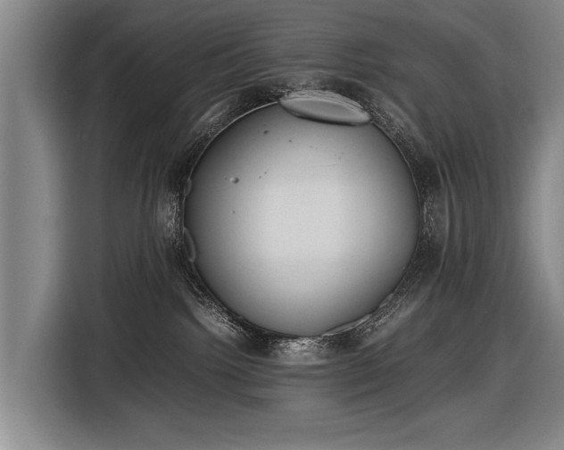 X0000116460092200912161241