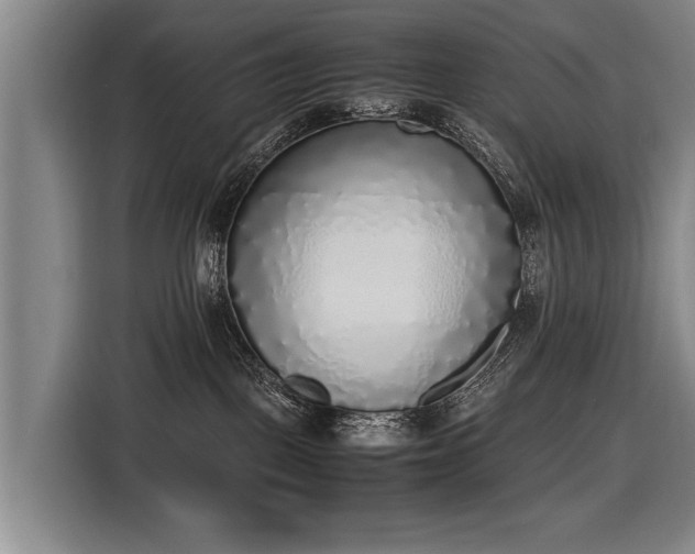 X0000116460093200912161241