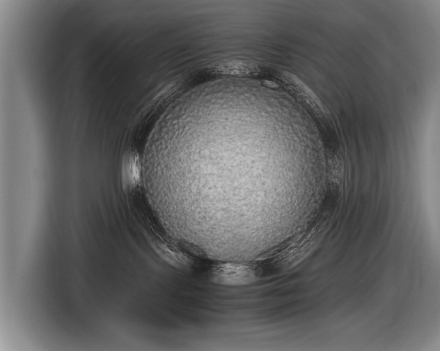 X0000116460095200912161241