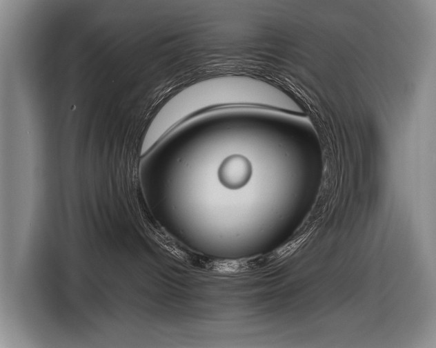 X0000116460096200912161241