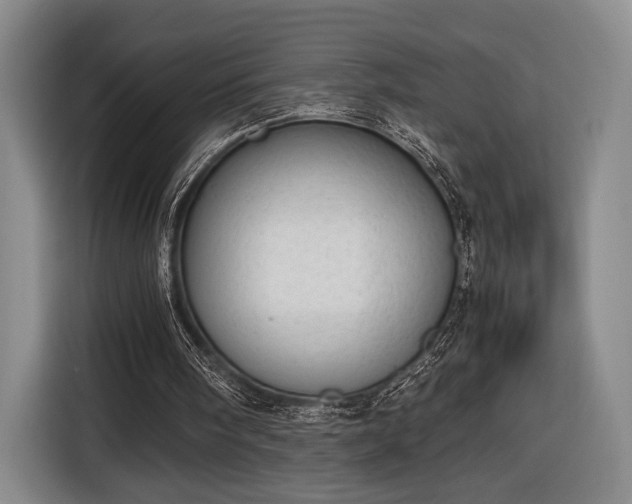 X0000116460098200912161240