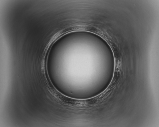 X0000116460099200912161240