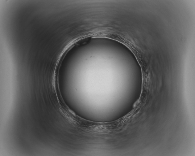 X0000116460100200912161240