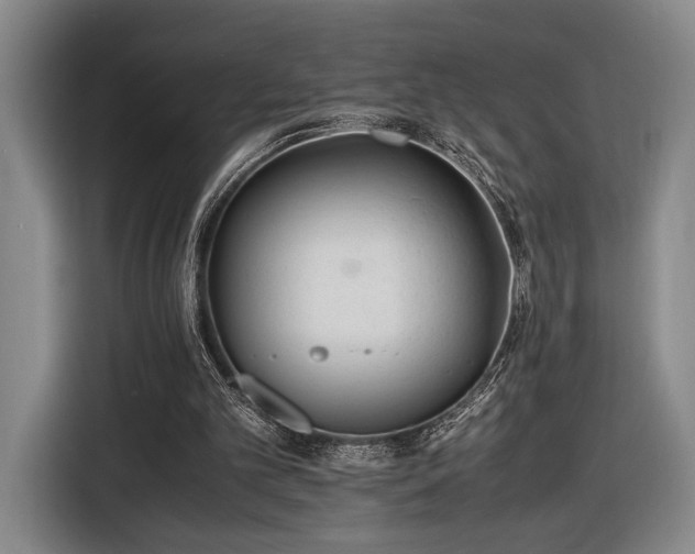 X0000116460101200912161240