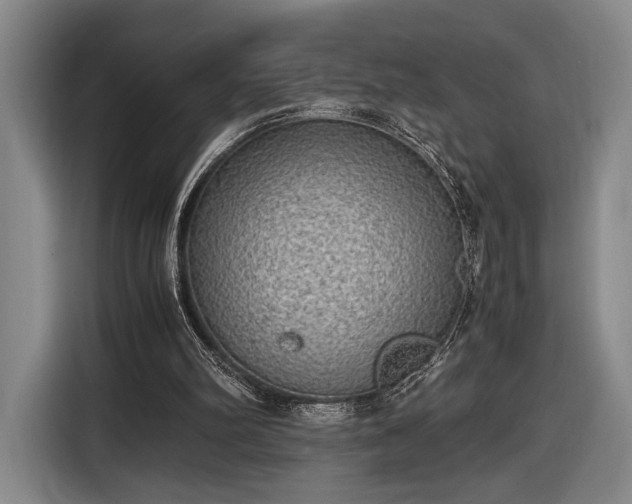 X0000116460102200912161240