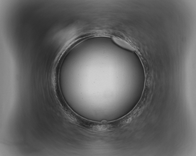 X0000116460103200912161240