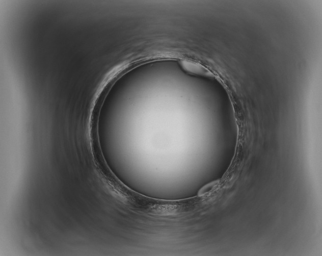 X0000116460104200912161240