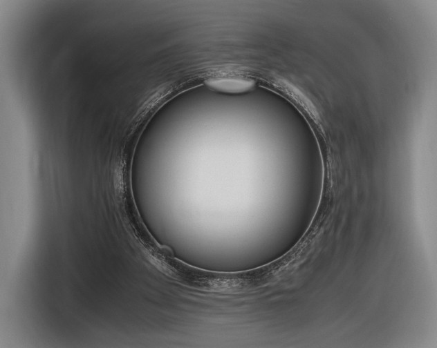 X0000116460105200912161240
