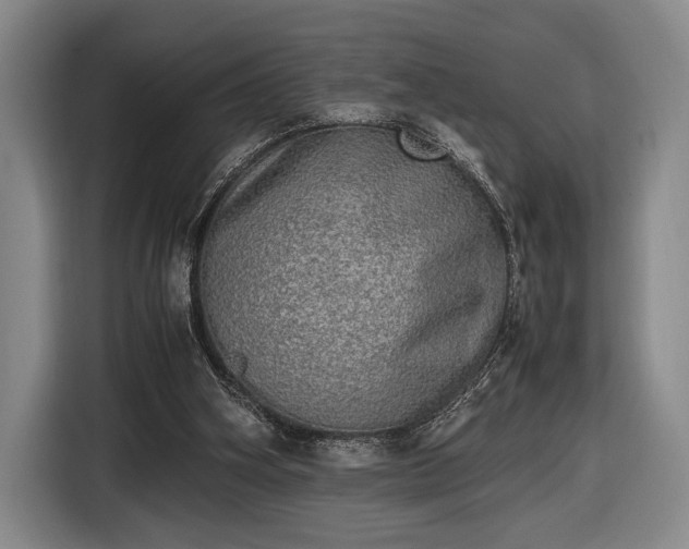 X0000116460106200912161240