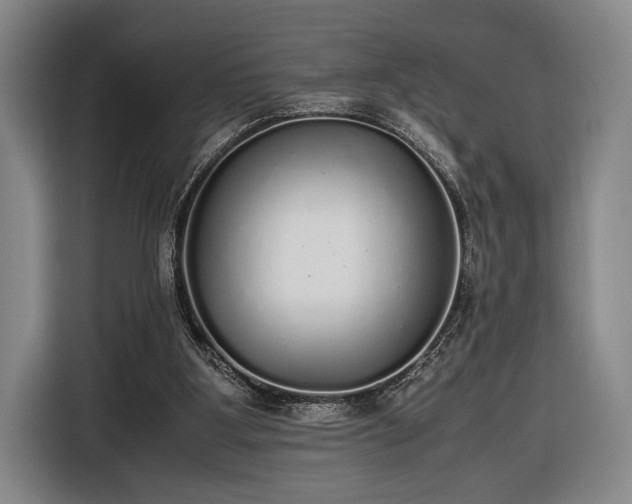 X0000116460107200912161240