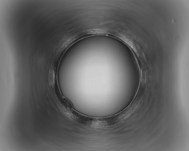 X0000116460109200912161240