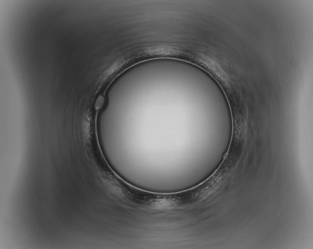 X0000116460111200912161240