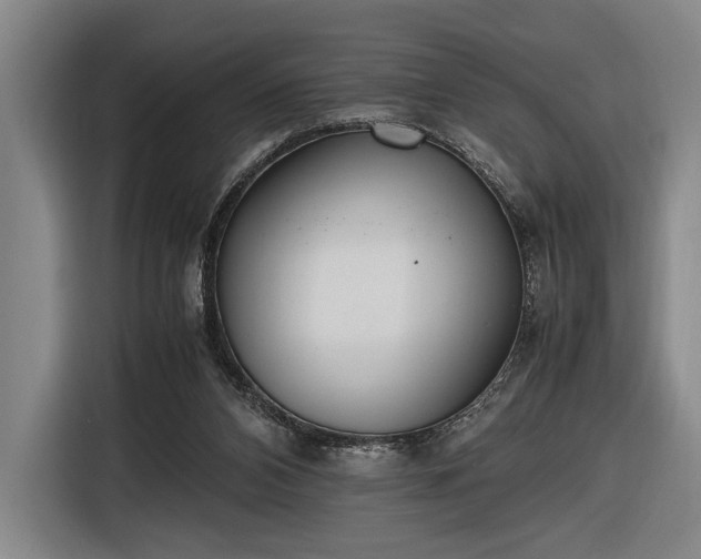 X0000116460112200912161240