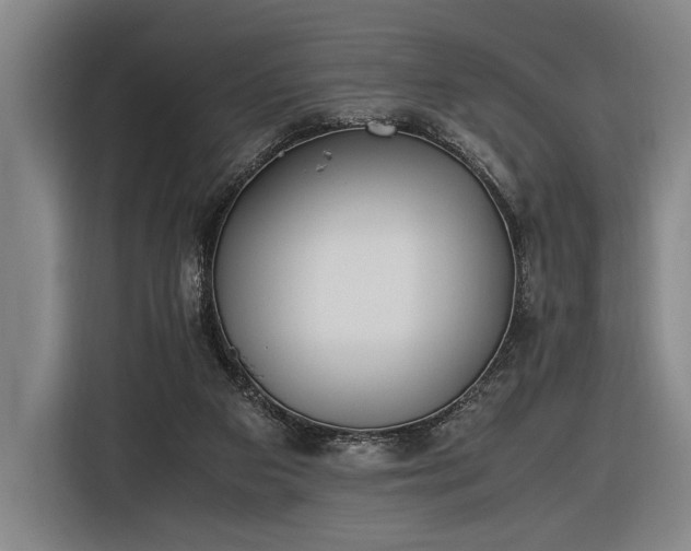 X0000116460113200912161240
