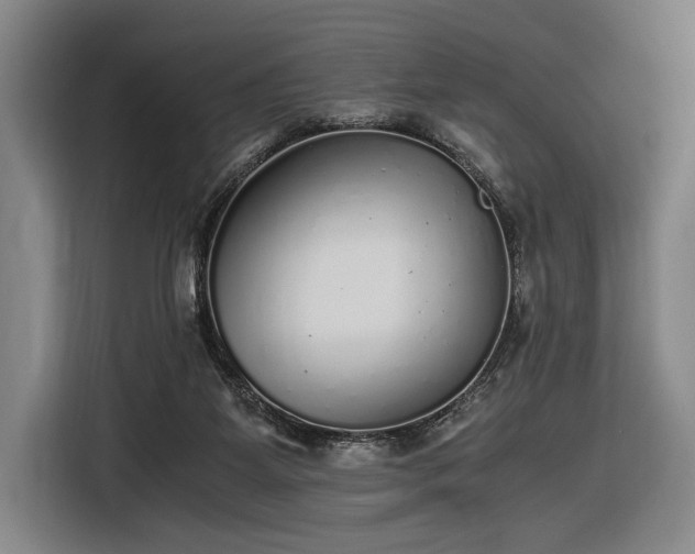 X0000116460115200912161240