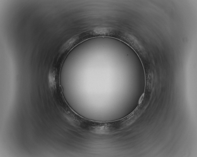 X0000116460116200912161240