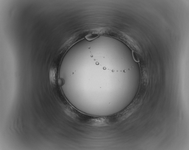 X0000116460118200912161240
