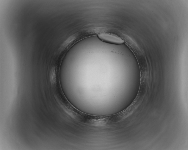 X0000116460120200912161240