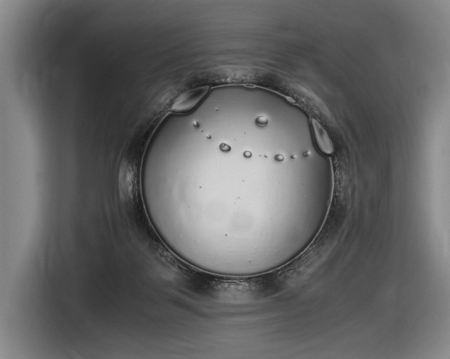 X0000116460123200912161240
