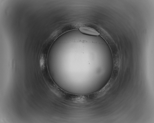 X0000116460124200912161240