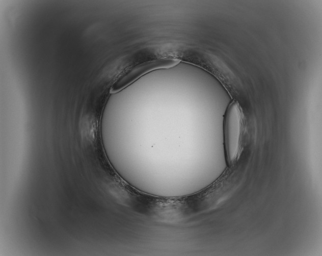 X0000116460125200912161240