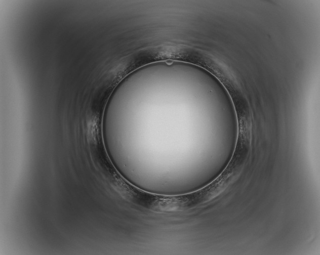 X0000116460127200912161240