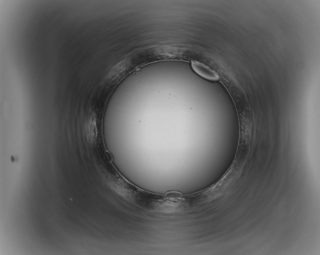 X0000116460128200912161240