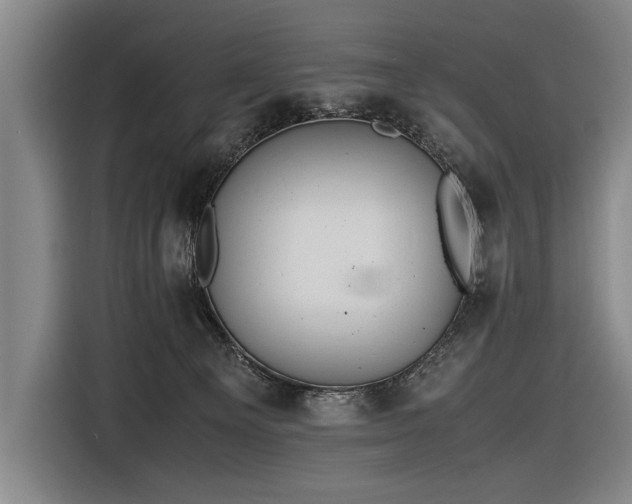 X0000116460129200912161240