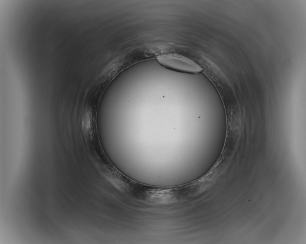 X0000116460132200912161240