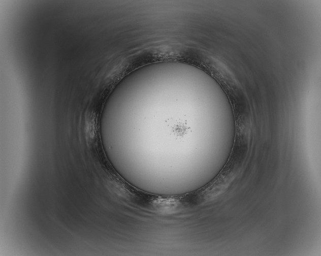 X0000116460133200912161240