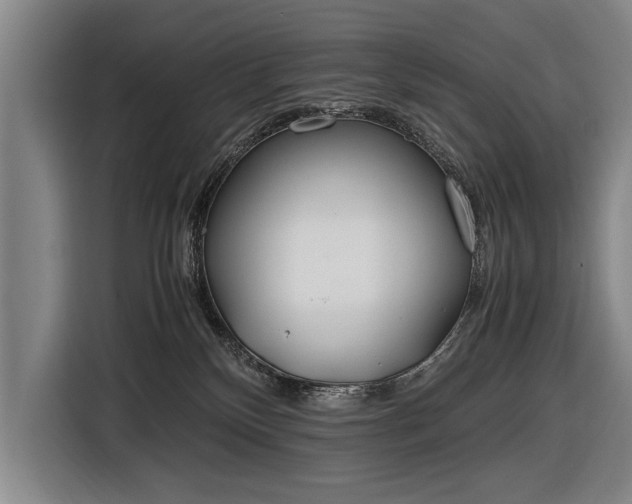 X0000116460136200912161240