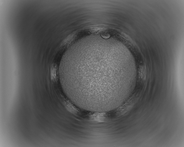 X0000116460138200912161240