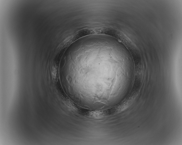 X0000116460139200912161239