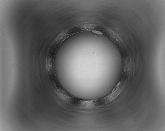 X0000116460140200912161239