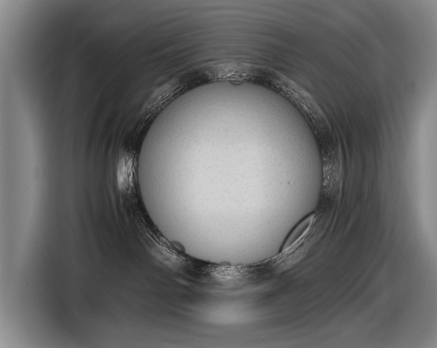 X0000116460142200912161239