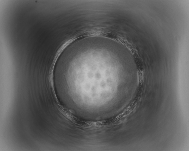 X0000116460147200912161239