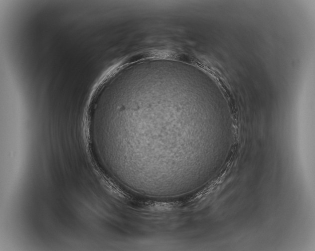 X0000116460149200912161239