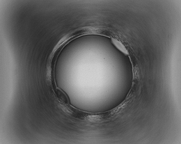 X0000116460150200912161239