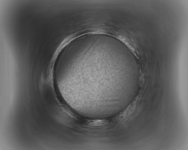 X0000116460151200912161239
