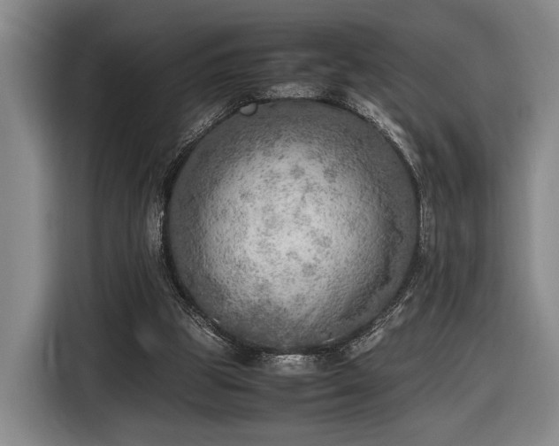 X0000116460153200912161239