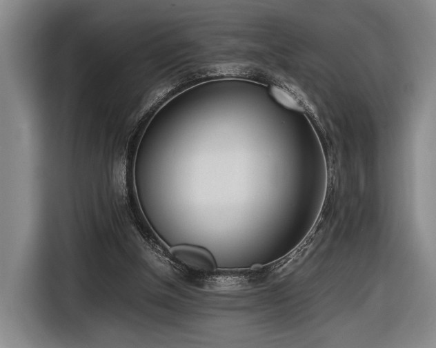 X0000116460154200912161239