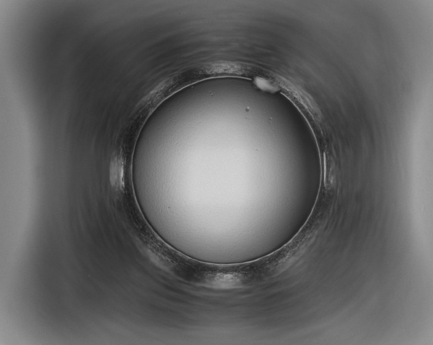 X0000116460157200912161239